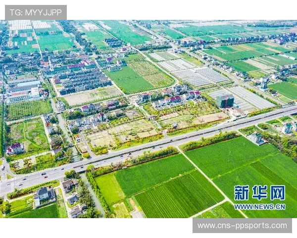 浙江徐家埭村从“养猪村”到“棒球村”的转型之路